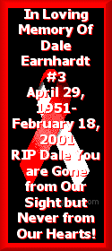 daleearnhardtribbon.gif